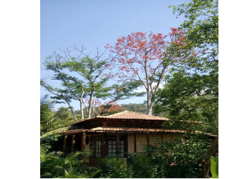 Paraty Villa D'Agua Temporada Екстериор снимка